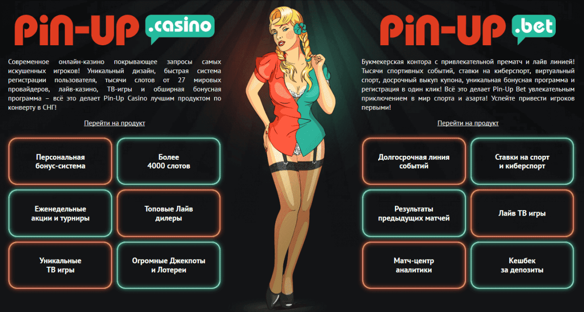 pin up casino and pin up bet